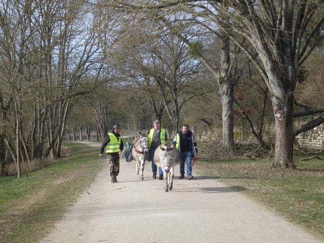 loire propre 2015 (10).jpg